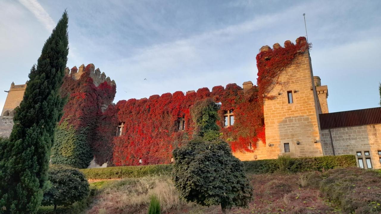 Hostal Rural Villa Vieja Olite Zewnętrze zdjęcie
